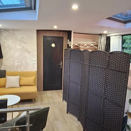 Indépendant Avec Terrasse Sur Péniche * Metz